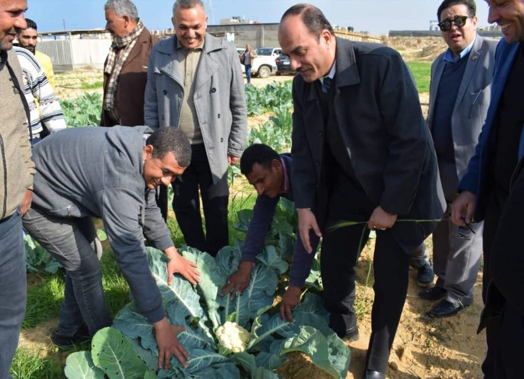 رئيس جامعة العريش: المزرعة الإنتاجية نموذجاً رائداً للأمن الغذائي والتنمية الزراعية المستدامة 1 9281712253123