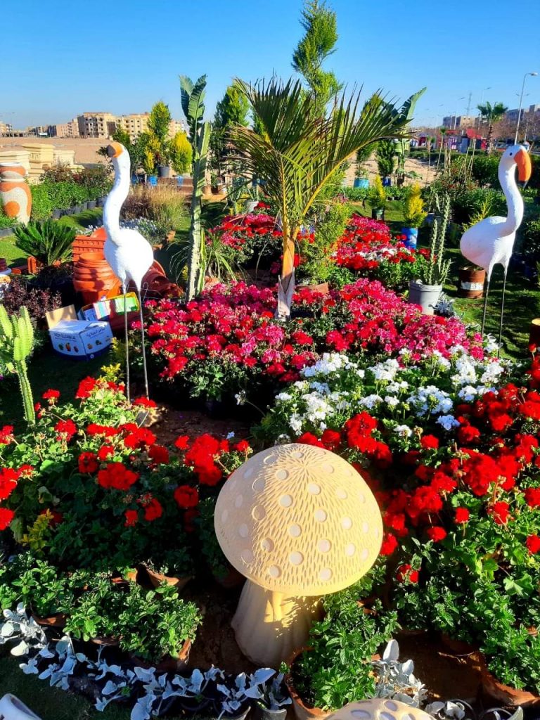 محافظة البحرالأحمر تنظم معرض الزهور وأعياد الربيع بمدينة الغردقة 1 FB IMG 15848793073961713203287