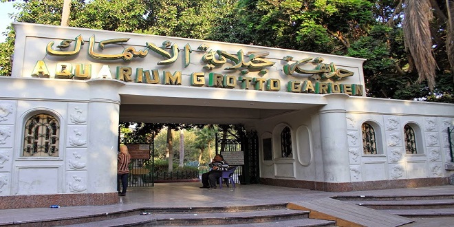 IMG 26651712063109