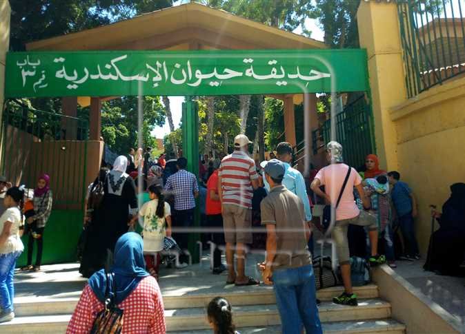 مدير حديقة الحيوان بالإسكندرية: إقبال تاريخي غير مسبوق بنحو 84 ألف زائر خلال عيد الفطر 1 elaosboa314621712949905