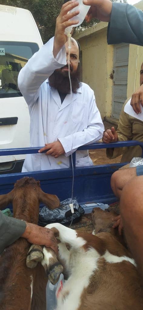 "البحوث الزراعية" و"مصر الخير" يطلقان قوافل بيطرية لعلاج مواشي صغار المربين مجانا بسوهاج 1 elaosboa482611714297867