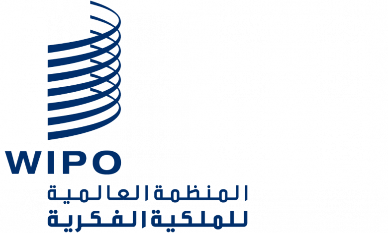 المغرب والمنظمة العالمية للملكية الفكرية يبحثان حماية الملكية والتراث الثقافي 1 logo wipo ar1713885663