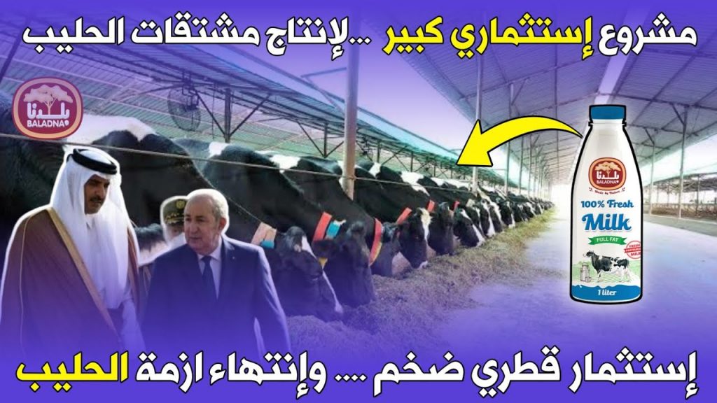 جلوبال (9): تنشئ شركة Baladna القطرية مزرعة للحليب المجفف في الجزائر 1 maxresdefault1712086083