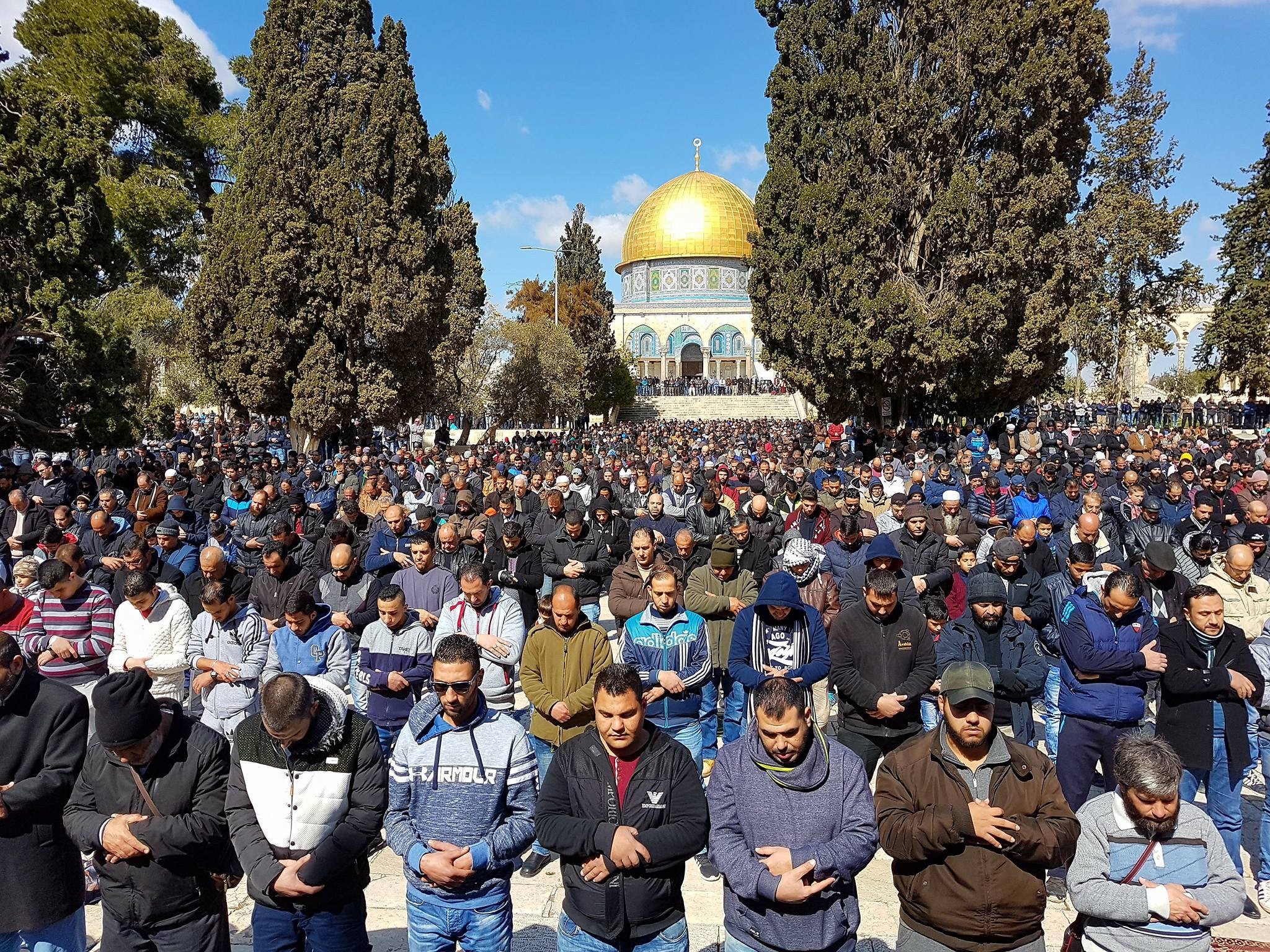 60 ألفًا في صلاة العيد بالأقصى.. والصلاة في غزة على أنقاض مدارس مُدمرة ومدارس الإيواء 1 sq8eo1712739364