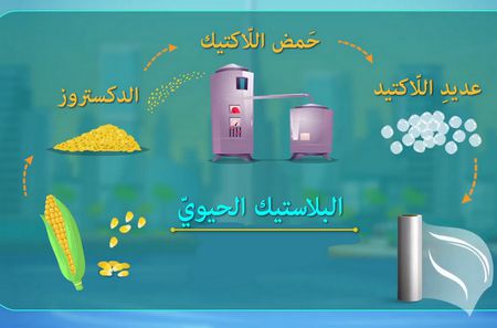 "علوم البحار": إنتاج البلاستيك الحيوي من الطحالب استثمار واعد اقتصاديا وصناعيا 1 البلاستيك الحيوي1712999043