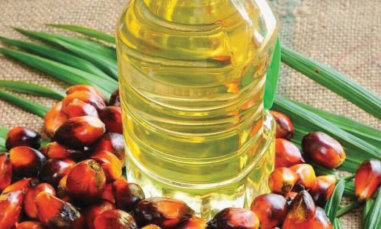جلوبال (9): مؤسسة RSPO تستضيف أول منتدى لسلسلة توريد زيت النخيل المستدام في أفريقيا بمدينة كيب تاون 1 زيت 1050x5251713381544