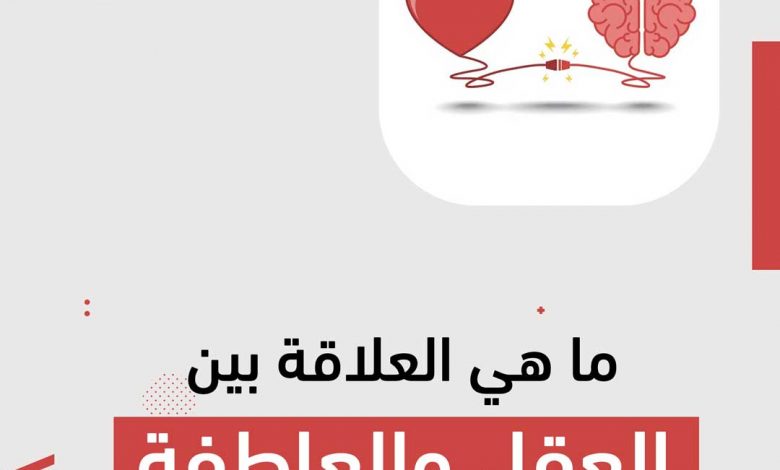 الصراع بين العقل والعاطفة يسيطر على أحداث العرض المسرحي "ضفاير" 1 ما هي العلاقة بين العقل والعاطفة1714470663