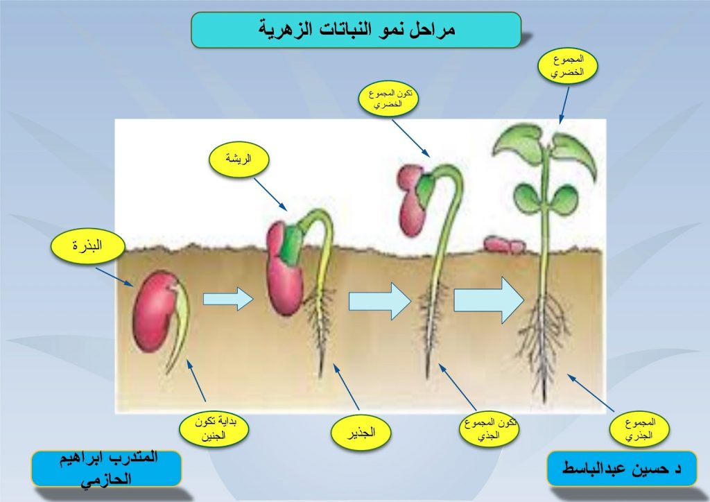 (الإيكواس) تصدر المراجعة الرابعة بشأن النمو والتحول الزراعي 1 صورة21716213366