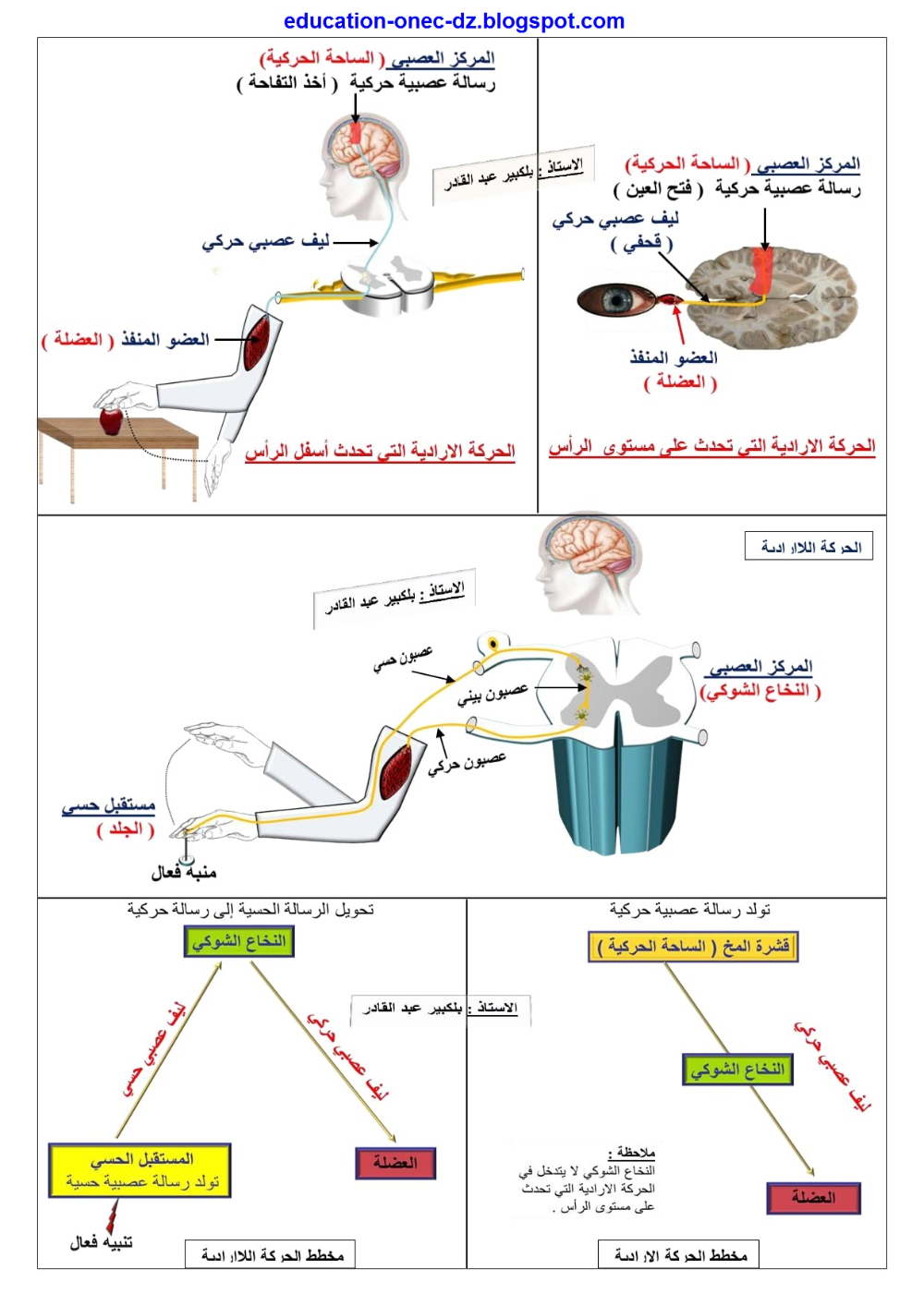 مصمم "الأنيميشن" العالمي هاياما : دراسة الحركة الطبيعية للجسم سيمكن من رسم حركات أكثر واقعية 1 0549ba0071b6aa38e33bcca5670b13ce1714901469