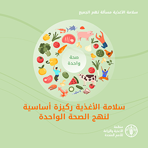 "الفاو": العالم يشهد اهتمامًا متزايدًا بمخاطر سلامة الأغذية باعتبارها مشكلة صحية عالمية 1 06 FAO food safety square size