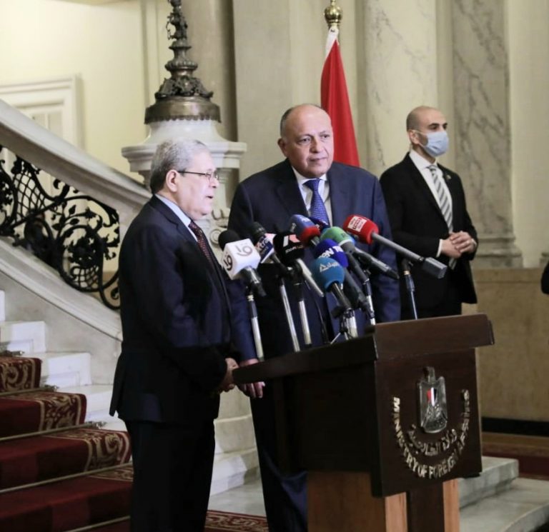 وزير الخارجية التونسي ونظيره السوري يدعوان إلى تكثيف تبادل زيارات كبار المسؤولين بين البلدين 1 12 3