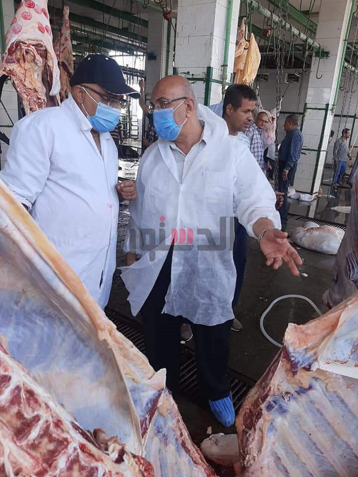 مديرية الطب البيطري بالقاهرة: ضبط 9 أطنان لحوم غير صالحة للاستهلاك الآدمي وتحرير 43 محضرًا 1 3131716894362