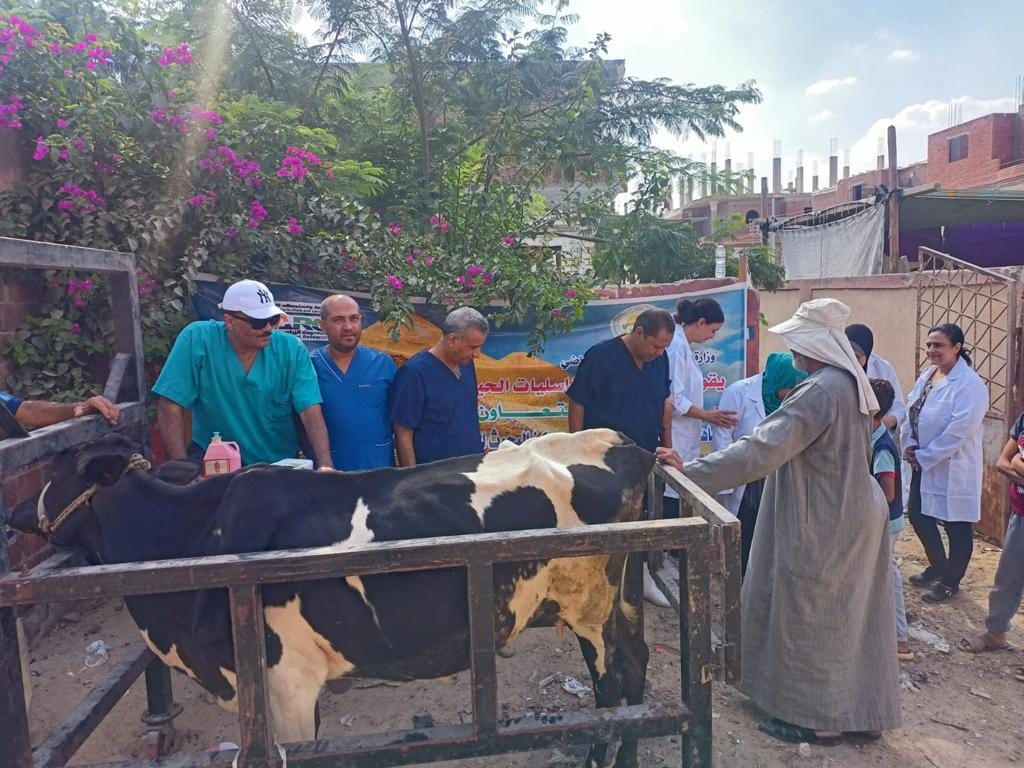 "الزراعة" تنظم قافلة بيطرية مجانية لعلاج مواشي صغار المربين بكفر الشيخ 1 368672575 598680052453157 2702126474139508029 n1715418728