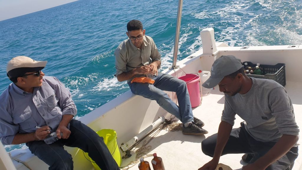 "علوم البحار" ينفذ مشروعات بحثية لتعويض النقص في انتاج الأعلاف 1 4571715330703