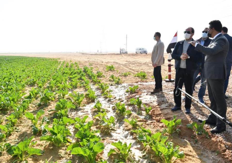 الرئيس السيسي : الدولة تعمل على زيادة الانتاج من المشروعات الزراعية ...... إضافة 5 وأخيرة 1 7998981716657242