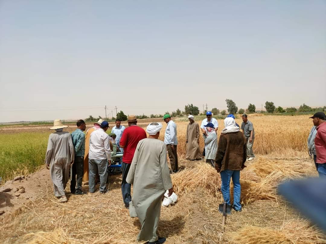 محافظ الوادي الجديد: نجاح تجربة زراعة (الكسافا) بالمحافظة لإنتاج دقيق خالٍ من الجلوتين 1 95823 FB IMG 16511420995981717089545
