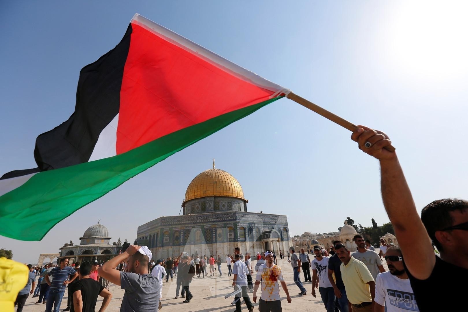 الرئاسة الفلسطينية تُرحب بقرارات محكمة العدل الدولية وتطالب إسرائيل بتنفيذها فورًا 1 a0d66d1f d599 4953 a053 d4102affa9b61716564063