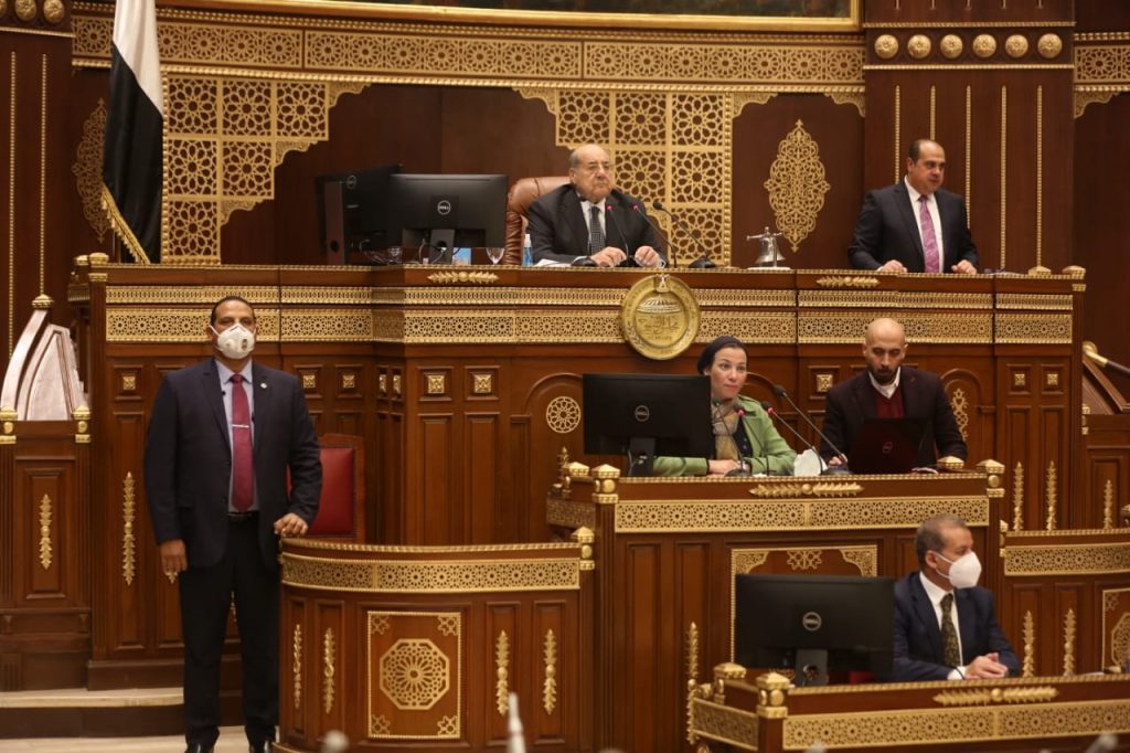 وزيرة البيئة: تعاون كبير مع بنجلاديش لمواجهة التغيرات المناخية 1 elaosboa103751716548583