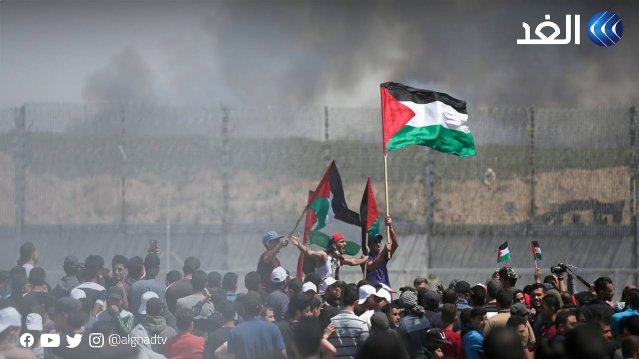 "الشرق" القطرية: الدوحة لا تدخر جهدا لوقف العدوان المستمر على الشعب الفلسطيني في غزة 1