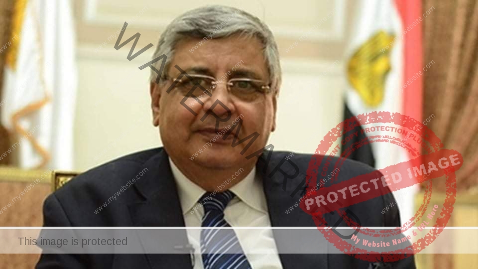 عوض تاج الدين: اختتام مشروع "EH-QIPS" منعطف مهم في رحلة مصر لتحسين الرعاية الصحية 1 received 4963905047117501715241903