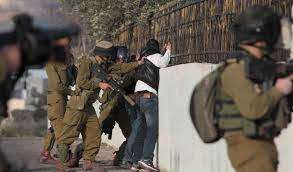 جيش الاحتلال يعتقل 29 فلسطينيا 1700994651 01715439363
