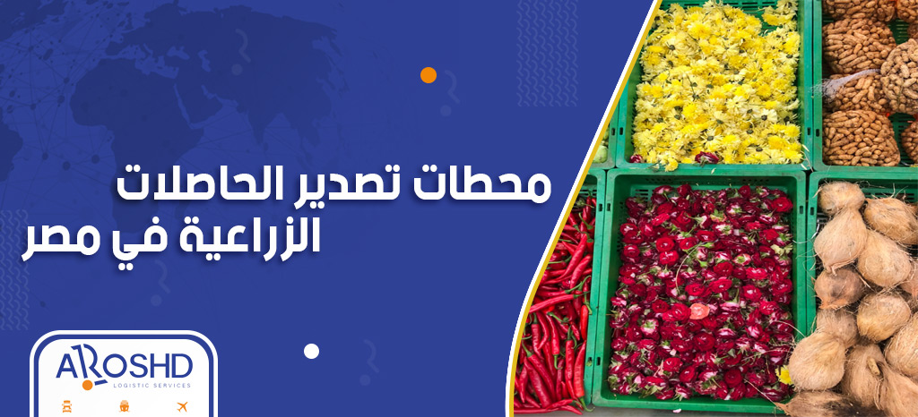 عضو "التصديرى للصناعات الغذائية" لـ أ ش أ: الحاصلات الزراعية حققت نقلة كبيرة في الصادرات للخارج 1 محطات تصدير الحاصلات الزراعية1715669764