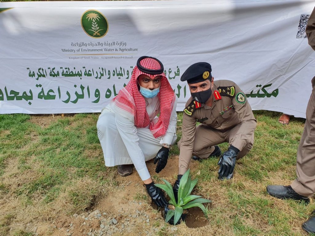ثقافة الأقصر تشهد فعاليات متنوعة احتفالا باليوم العالمي للبيئة 1 00f0a876 7777 433c 943d 9d6ceafab82d1717933205