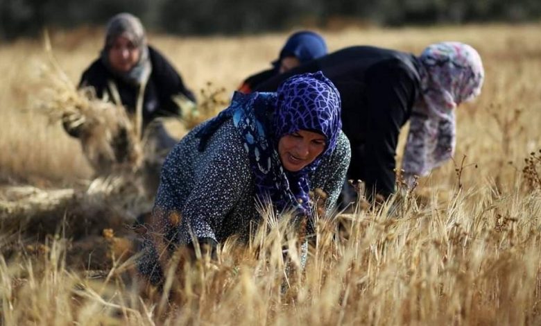 "30 يونيو إرادة شعب ومسيرة وطن"..(تمكين المرأة المصرية) 1 111 11719043388