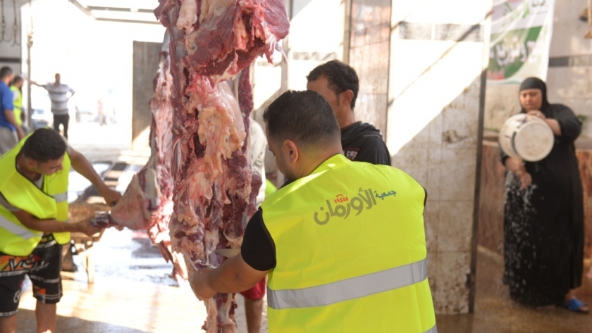 "تضامن قنا" توزيع 56 ألف كيلو لحوم أضاحي و40 عجلا على الأولى بالرعاية 1 1749306016259952561717592703