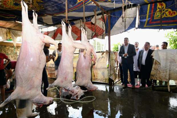 محافظ الجيزة: ذبح الأضاحي للمواطنين بالمجان بـ 21 مجزرا حكوميا خلال أيام عيد الأضحى 1 190741036416558996721717664405
