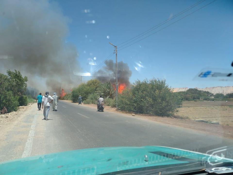 السيطرة على حريق بقرية القلمون في الوادي الجديد دون خسائر في الأرواح 1 2020 6 27 13 27 0 1451717515423