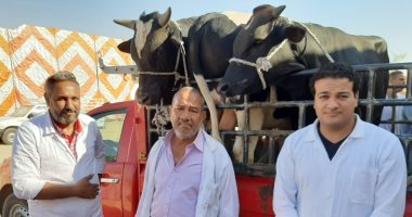 "مجازر الأقصر" تقدم خدمة الذبح المجاني للأهالي والجمعيات الخيرية حتى رابع أيام العيد 1 2022071003224222421718550483
