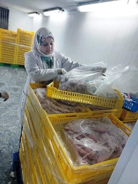 ضبط 3 أطنان لحوم ودواجن فاسدة بالشرقية و600 لتر زيت بدون فواتير بكفرالشيخ 1 202305271346344991719148628