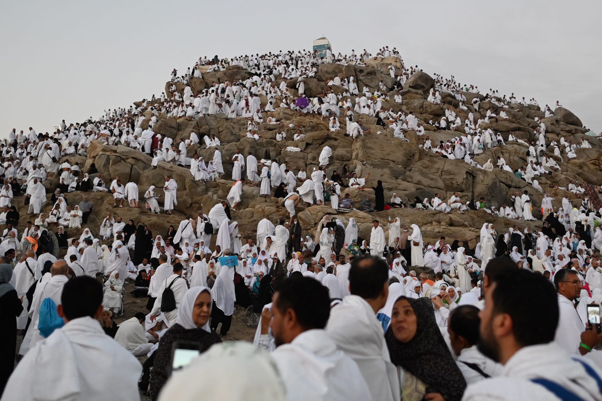 "حجاج مطوفي الدول العربية" توفر 4500 حافلة لنفرة الحجاج من عرفات وتجهز 4530 خيمة لهم في مشعر منى 1 2439141718458563