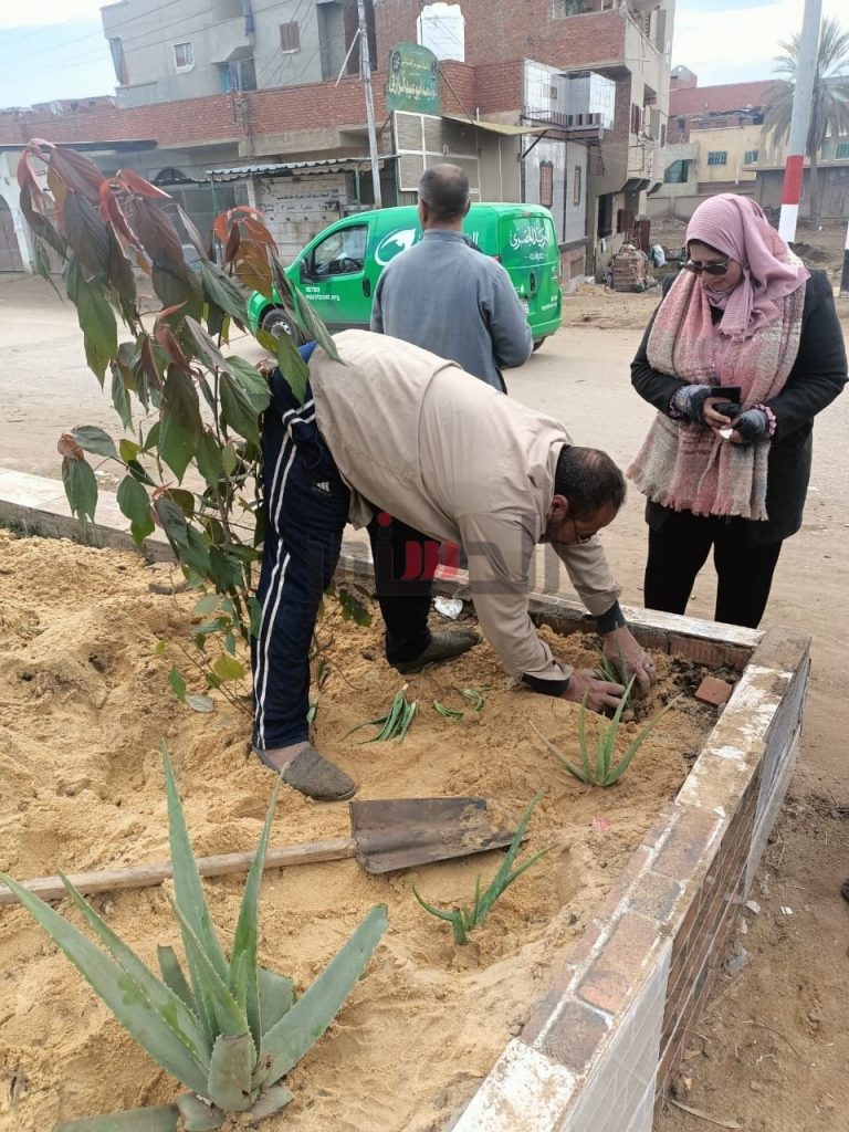 محافظ الغربية يتابع استمرار حملات التشجير والتجميل بمراكز ومدن المحافظة 1 3461718995025
