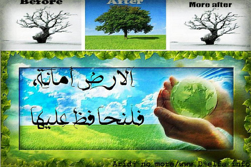 محافظ الغربية يوجه بتكثيف الحملات التوعوية للحفاظ على البيئة والتخلص الآمن من المخلفات 1 4381718021403