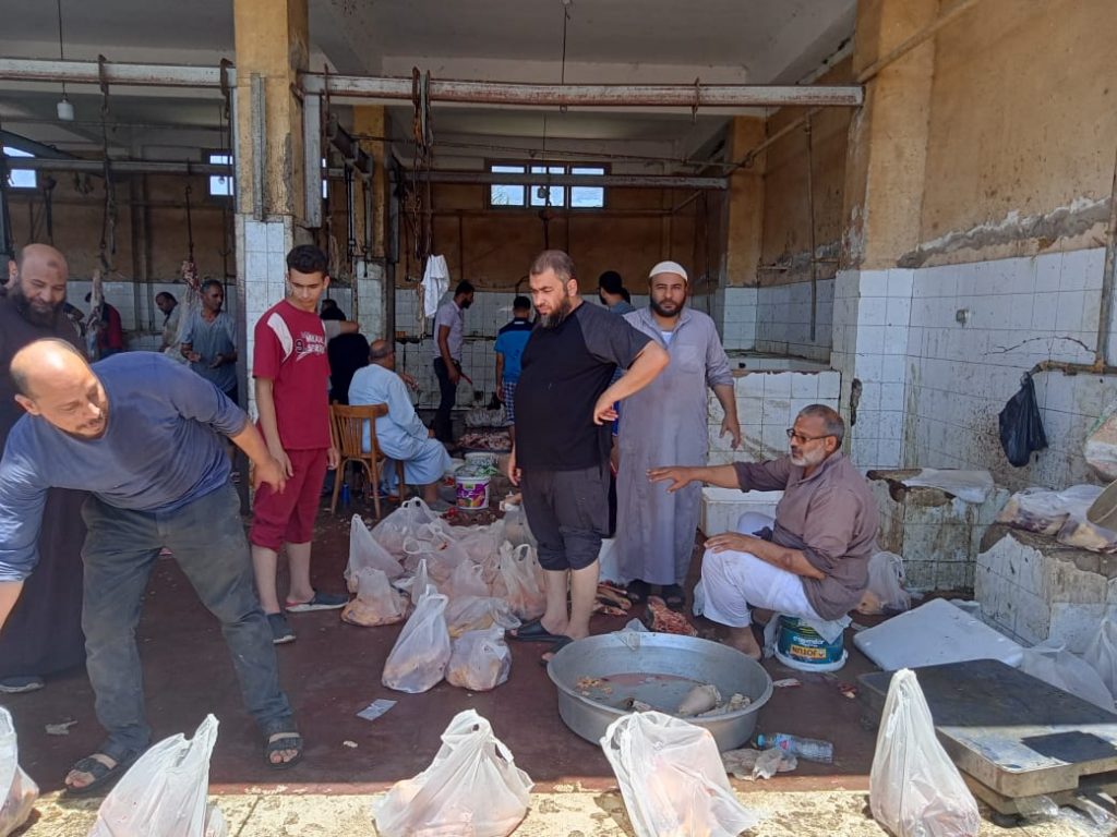 ذبح 467 رأس ماشية في مجازر شمال سيناء 1 6021718619544