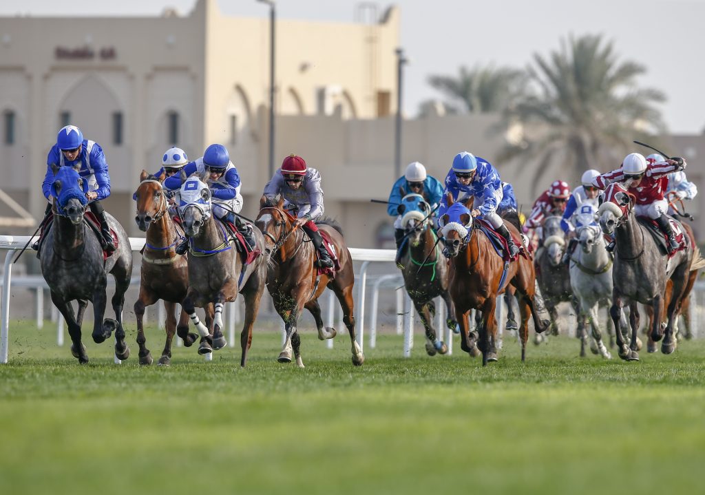 جلوبال (1): Equine Match تطلق منصة تحليلاتها الفريدة لصناعة سباق الخيول والخيول الأصيلة العالمية البالغ حجمها 300 مليار دولار 1 HMX1923 31718338864