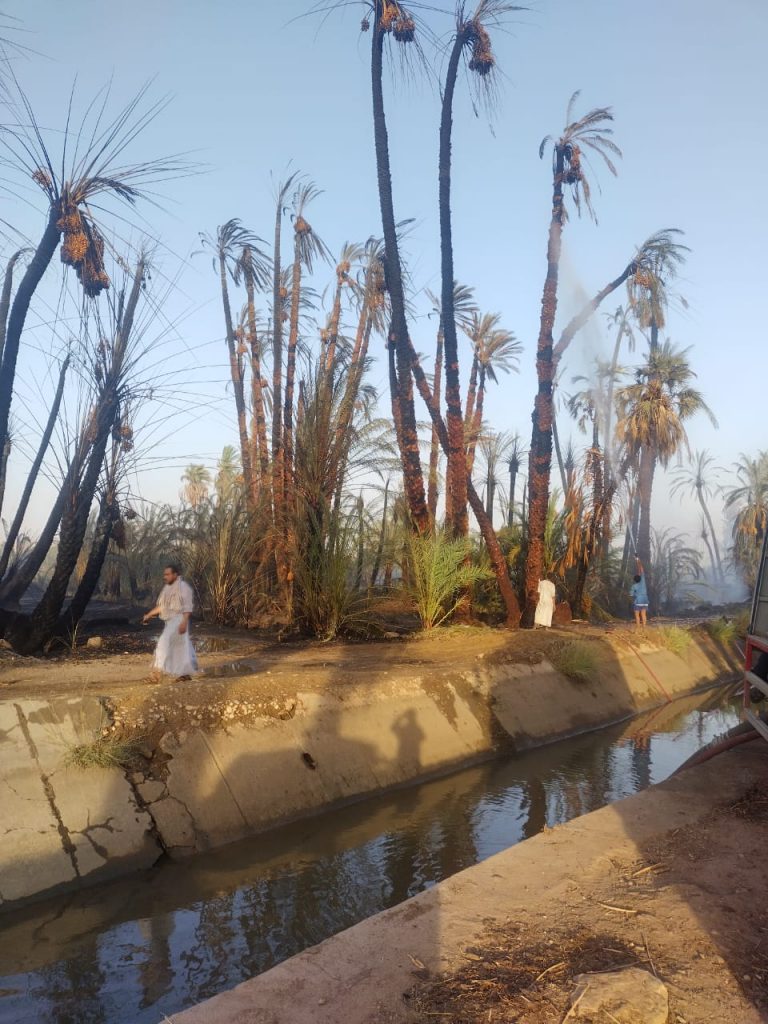 محافظ أسوان:تسوية طريق بقرية القنان يربطها بالطريق الصحراوي الغربي 1 IMG 20230827 WA00291719235565