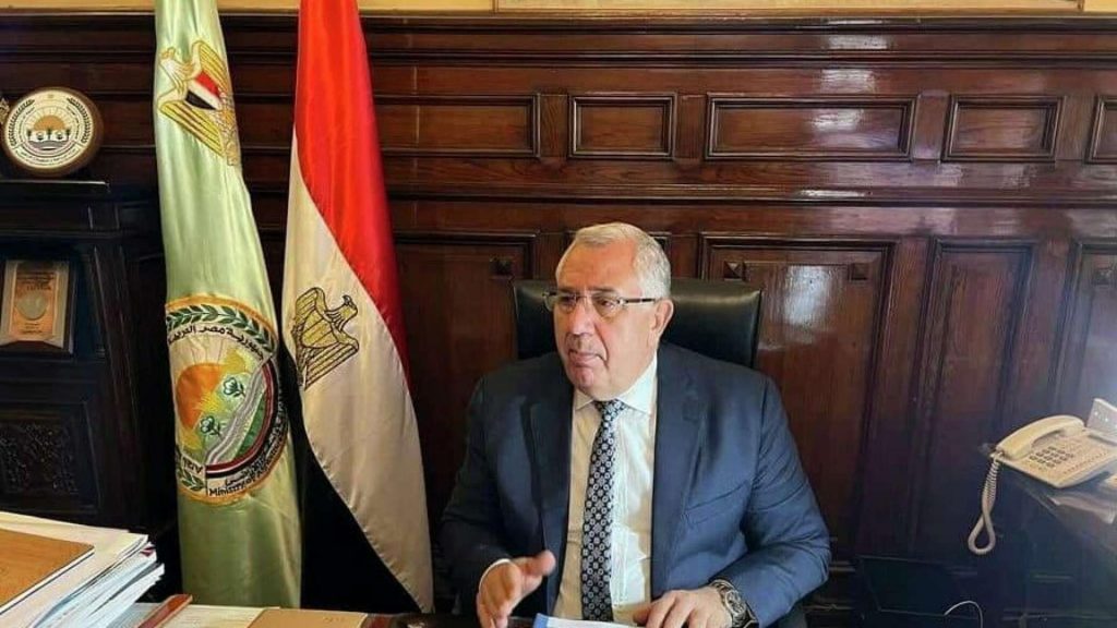 وزير الري يؤكد عمق العلاقات المصرية التنزانية على الأصعدة كافة 1 img 61bcc452cb7b81717310284