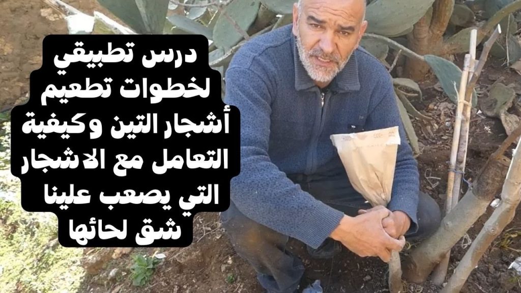 غدا.. "البيئة" تنظم حوارًا وطنيًا لتقنين التعامل مع الأشجار 1 maxresdefault1719131883