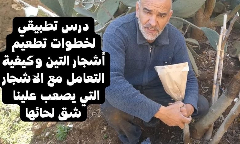 غدا.. "البيئة" تنظم حوارًا وطنيًا لتقنين التعامل مع الأشجار 1 maxresdefault1719131883