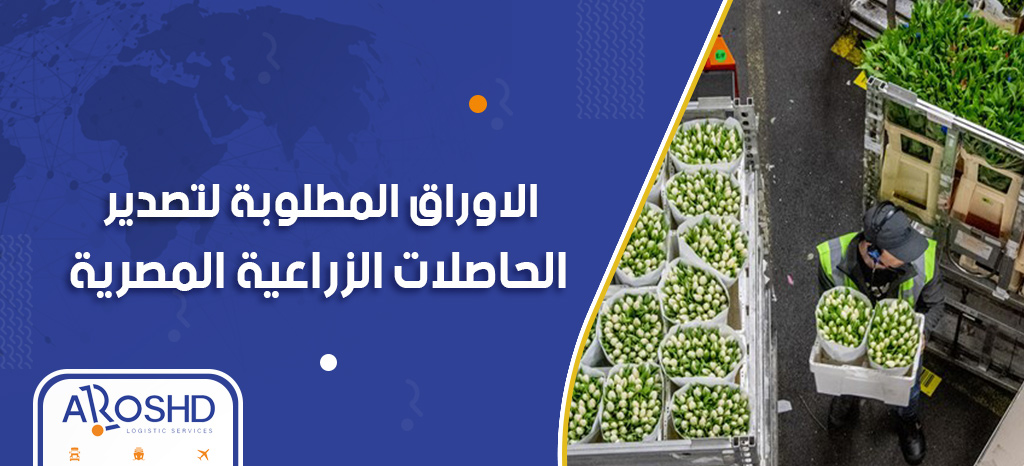 "التصديري للحاصلات الزراعية": ندرس مع الحجر الزراعي تصدير منتجات جديدة للسوق الصيني 1 تصدير الحاصلات الزراعية1717914782