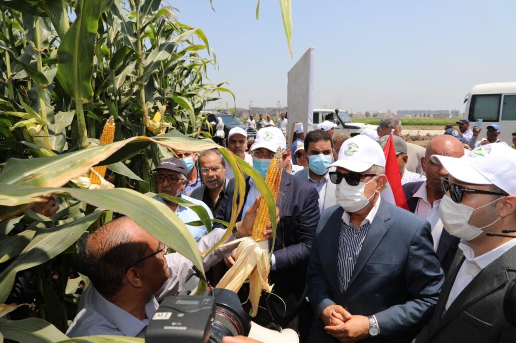وزير الزراعة يكلف المراكز البحثية بإجراء مزيد من الدراسات حول بعض المحاصيل غير التقليدية 1 جولة وزير الزراعة في محافظة كفر الشيخ 5 Copy scaled1718266925