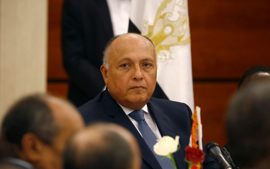 وزير الخارجية يؤكد حرص مصر على التنسيق مع الجزائر بمجالات المصالح المشتركة 1 1871171720277223