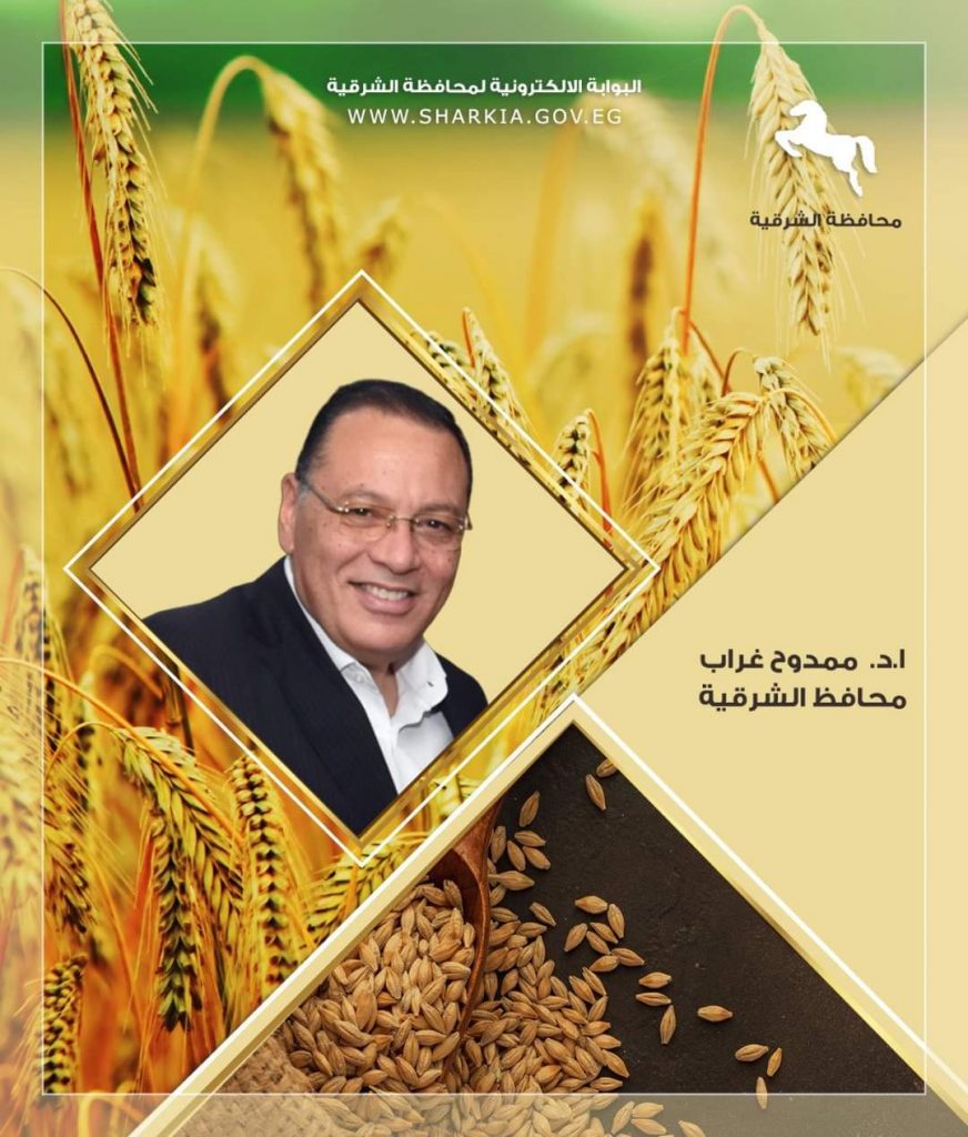 محافظ الشرقية: انتظام عملية توريد القمح بالمواقع التخزينية بمختلف المراكز 1 20 7 2022 14 26 32 GomhuriaOnline 788165831999217181861681722099067