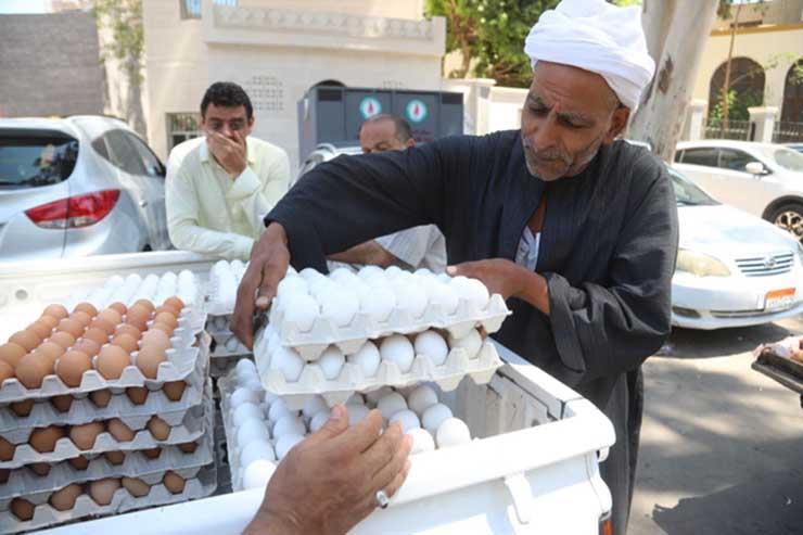 "الزراعة" تطرح كميات من بيض المائدة للبيع للمواطنين بسعر 120 جنيها للكرتونة في 7 محافظات 1 2022 9 4 15 10 45 4961721651285