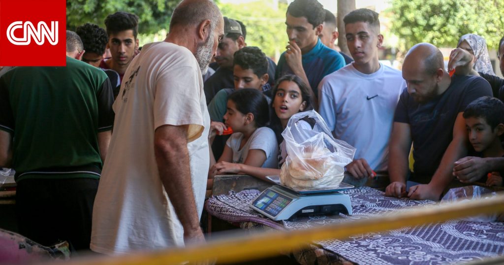 "المنظمات الأهلية الفلسطينية": غزة تعيش مجاعة حقيقية جراء استهداف مصادر الغذاء ومنع المساعدات 1 2521851719931145