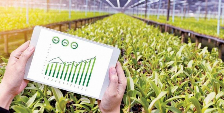 وزيرا الزراعة والتموين يبحثان التنسيق لتحقيق الأمن الغذائي والأسعار الاسترشادية للمحاصيل الاستراتيجية 1 305322 12 16030163061721893504