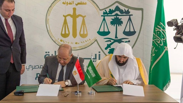 رئيس مجلس الدولة:تعاون وزارة الشئون النيابية والمجلس يساهم في تحقيق مصالح المواطنين 1 3781721467204